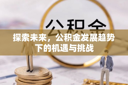 普宁探索未来，公积金发展趋势下的机遇与挑战