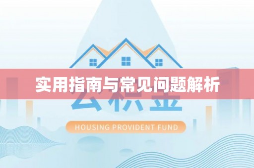 普宁实用指南与常见问题解析