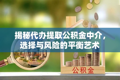 普宁揭秘代办提取公积金中介，选择与风险的平衡艺术